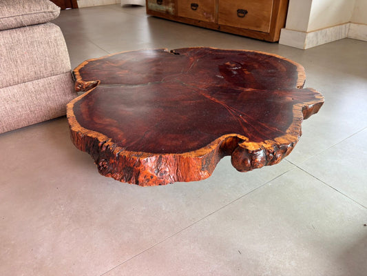 Mesa de centro de design antigo, fatia de arvore restaurada